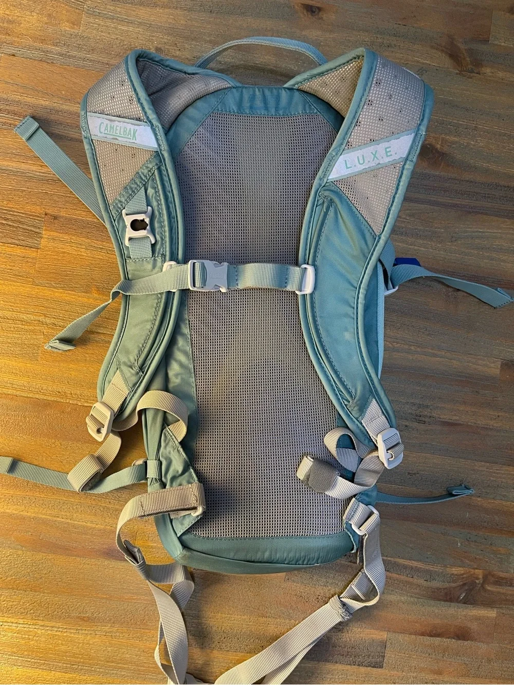 Camelbak Light Green Hydration Backpack with Blue Reservoir